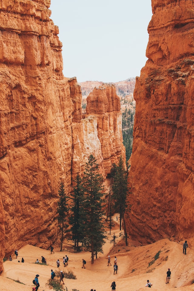 Zion Airbnb