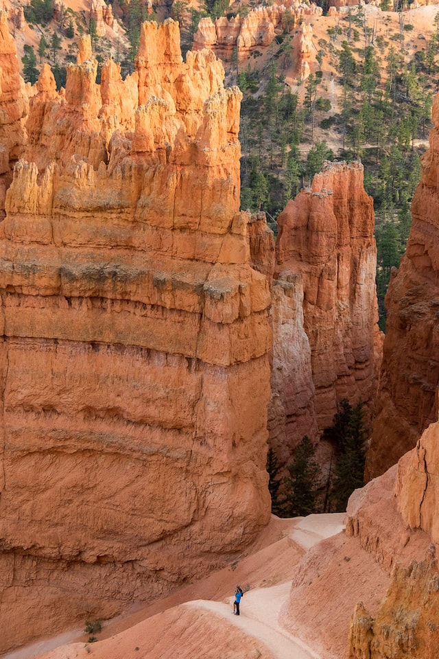 Zion Airbnb