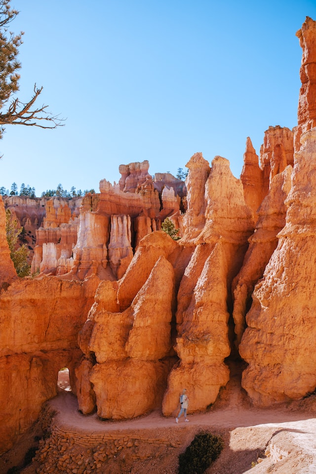 Zion Airbnb